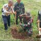 Danramil 08 Mande Tengah menanam Pohon Alpukat di Pinggir Waduk Cirata, Cikidangbayabang