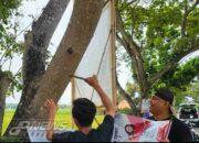 Alat Peraga Kampanye (APK) Pelaksanannya Banyak Yang Menabrak Aturan