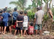Tak Menyangka Beli Tanah Buat Bangun Rumah Ada Makamnya