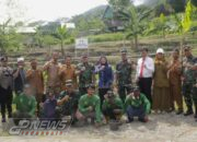Dalam Rangka program Ketahanan Pangan, Dandim 0619 Purwakarta Lakukan Kegiatan Penanaman Jagung