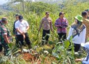Ratusan Pohon Aren dan Kelapa Ditanam Di Daerah Aliran Sungai Citarum
