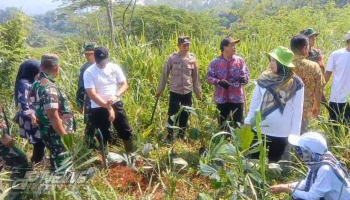 Ratusan Pohon Aren dan Kelapa Ditanam Di Daerah Aliran Sungai Citarum