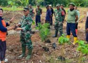 Karya Bakti Peduli Lingkungan Penanaman Pohon Koramil 1908 Purwakarta Bersama Aparatur Desa Citalang Serta Warga