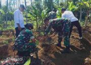Dukung Penghijauan Di Wilayah Binaan, Koramil 1706 Bantarujeg Laksanakan Penanaman Pohon
