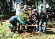 Mitigasi Bencana, Kodim 0608 Cianjur Lakukan Karya Bakti Penanaman Pohon