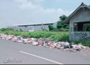 Pemdes Tanjung Mekar Angkat Bicara Prihal Sampah Pinggir Jalan
