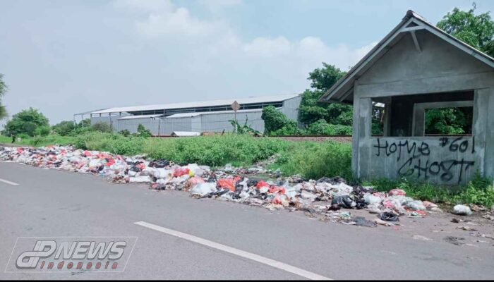 Pemdes Tanjung Mekar Angkat Bicara Prihal Sampah Pinggir Jalan