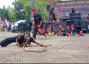 Aktraksi Debus Saat Pelantikan dan Deklarasi Paguyuban Domba Edan Tegar