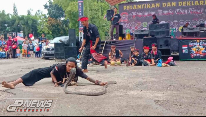 Aktraksi Debus Saat Pelantikan dan Deklarasi Paguyuban Domba Edan Tegar