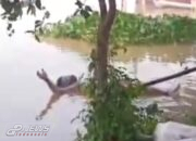 Mayat Dengan Jenis Kelamin Pria, Ditemukan Mengambang Di Kali Cikarang Bekasi Laut (CBL)