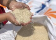 4 Bansos Yang Cair Di 2024, Bisa Dapat Beras 10 Kg Hingga Dana PIP