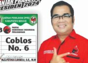 Marfetika Lahagu S.E M.M Caleg DPRD Kabupaten Bekasi Partai PDI Perjuangan Nomor urut 6 Dapil 7