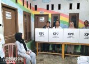 Antusias Warga Pulo Bambu Desa Karang Sentosa di Pesta Demokrasi Menyuarakan Hak Pilih