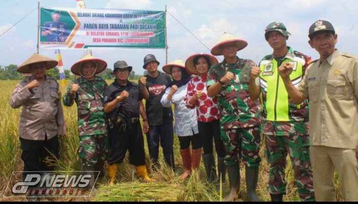 Dukung Ketahanan Pangan, Dandim 0617/Majalengka Hadiri Panen Raya Padi Organik Varietas Ciherang