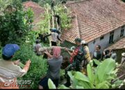 Anggota Koramil 1704 Talaga Bantu Evakuasi Pohon Tumbang Akibat Hujan Lebat