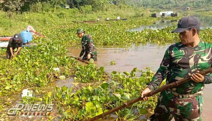Hamparan Eceng Gondok Di Waduk Cirata Kembali Dibersihkan Satgas Citarum Harum