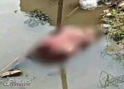 Mayat Berjenis Kelamin Perempuan Terapung di Saluran Irigasi Depan Desa Kemiri