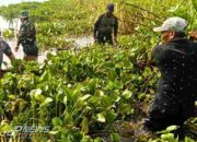 Satgas Citarum Harum Sektor 12 Angkat Hamparan Gulma Eceng Gondok di Waduk Cirata