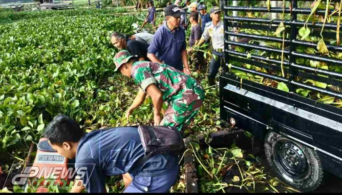 Satgas Citarum Sektor 12 Bersama Pemdes Sindangjaya dan Warga Angkat Gulma Eceng Gondok