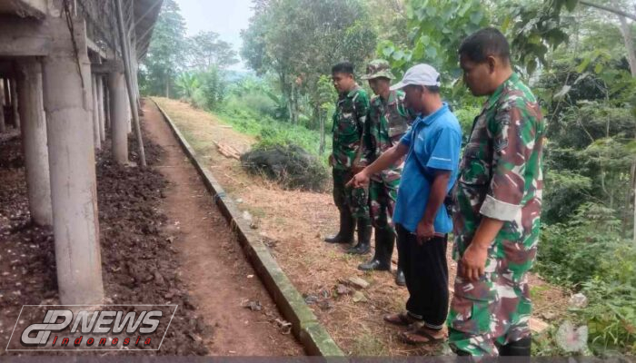 Perusahaan Ayam Petelur Di Padajaya Sudah Jauh Lebih Baik