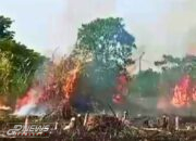 Kebakaran Lahan Kosong Di Perumahan Taman Sentosa, Cikarang Selatan