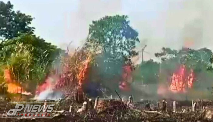 Kebakaran Lahan Kosong Di Perumahan Taman Sentosa, Cikarang Selatan