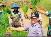 Camat Mande Temui Para Petani di Sawah