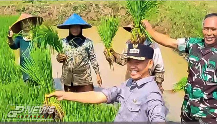 Camat Mande Temui Para Petani di Sawah