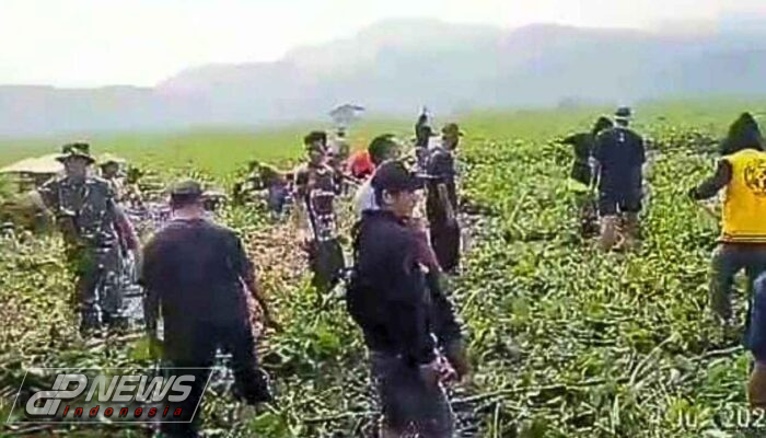 Hamparan Gulma Eceng Gondok Di Babakan Garut Diangkat Satgas Citarum Sektor 12