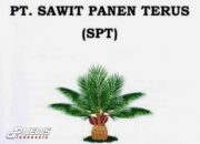 PT SPT Kantongi Izin Dokumen Perkebunannya Dan Libatkan Tokoh Perbaiki Lahan Kritis di Hulu DAS Perioritas