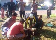 Merayakan Hari Raya Idul Adha 1445 H Polsek Maja Laksanakan Pemotongan Hewan Qurban