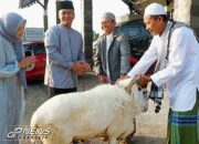 Wujud Syukur Dandim Serahkan Hewan Qurban 1445 H 2024