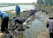 Proyek Tembok Penahan Tanah (TPT) Desa Puspasari Diduga Tanpa Papan Informasi