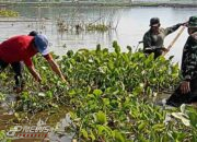 Bersihkan Aliran Sungai Dan Pengangkatan Eceng Gondok Terus Dilakukan Satgas Citarum Harum Sektor 12
