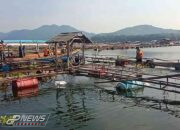 Petani Keramba Jaring Apung Harus Ikuti Aturan Demi Kelancaran Ekosistem Waduk Cirata