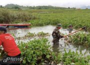 Satgas Citarum Harum Sektor 12 Angkat Hamparan Gulma Eceng Gondok Di Waduk Cirata