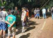 Polsek Cikalongkulon Bersihkan Pohon Tumbang Yang Sempat Halangi Jalan