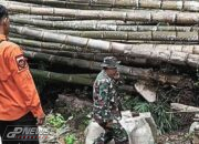 Dua Rumah Warga Rusak Tertimpa Rumpun Bambu Akibat Angin Kencang