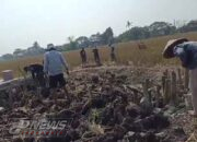 Perbaikan Akses Jalan Jebol Akibat Banjir Kades Karangsari Bersama Masyarakat