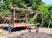 Satgas Pamtas Yonif 131/BRS Bantu Bangun Rumah Warga Masyarakat Papua