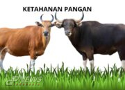 Dugaan Penyalahgunaan Program Dana Ketahanan Pangan Desa Wado Wetan