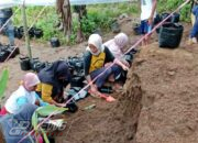 Konsep Pengembangan Desa Melalui Realisasi Program Ketahanan Pangan Desa Wanahayu Tahun 2025