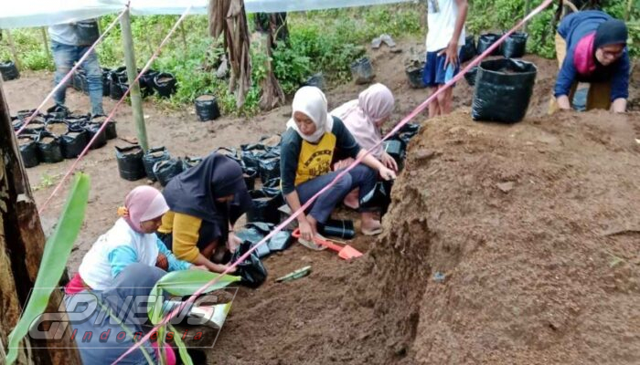 Konsep Pengembangan Desa Melalui Realisasi Program Ketahanan Pangan Desa Wanahayu Tahun 2025