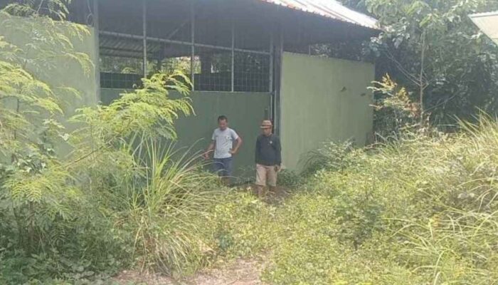 Memakan Anggaran Setengah Miliar Bangunan TPS 3 R Di Desa Bobojong Terbengkalai