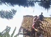 Isu Dugaan Jual Beli Aset Salah Satu Sekolah Di Desa Mekarsari Cikalongkulon