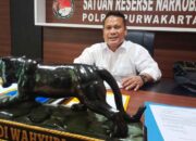 Tangkap Dua Pengedar, Tembakau Sintetis Disita Satres Narkoba Polres Purwakarta