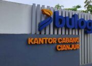 Di Tengah Hama Wereng, Bulog Cianjur Tetap Capai Target