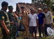 Babinsa Koramil 1708/Sukahaji Dampingi Kegiatan Pengubinan di Poktan Kayujaran Desa Palabuan