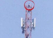 Lompat Dari Tower, Pria Di Mande Tewas Seketika