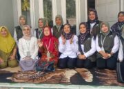 Panitia Lomba Inovasi Daerah Kabupaten Cianjur Apresiasi Inovasi Yang Digagas Puskesmas Cijagang